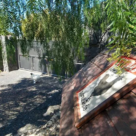 Peaceful With Heated Pool In Tahiche